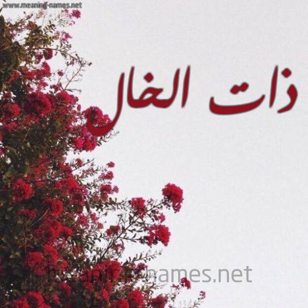شكل 18 صوره الورد الأحمر للإسم بخط رقعة صورة اسم ذات الخال ZAT-ALKHAL